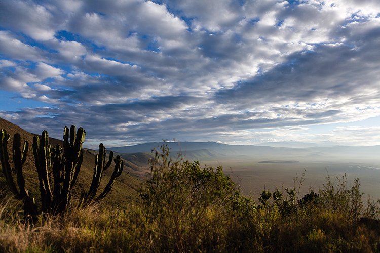 TZA ARU Ngorongoro 2016DEC26 Crater 006